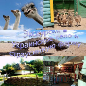 ekskursiya-v-ukr-selo-i-strausi
