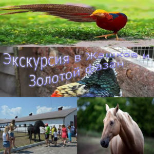 ekskursiya-v-zhashkov-i-zolotoy-phazan