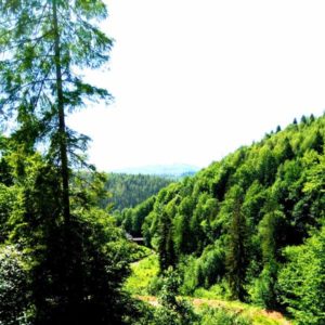 karpaty-vid